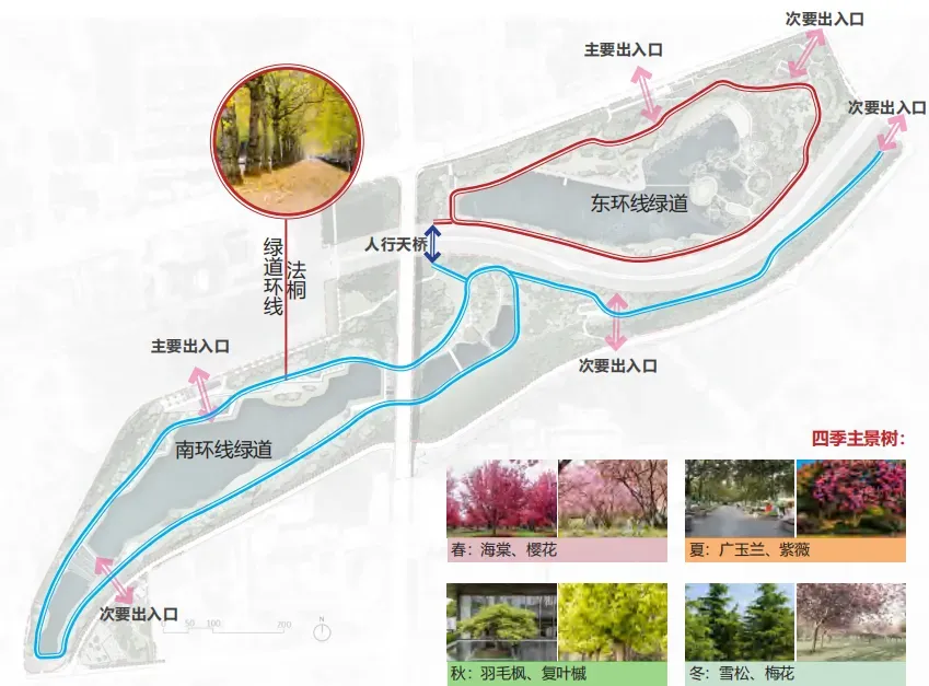 “一徑梧桐影,半城花園名“-山西晉城“法桐綠道”項(xiàng)目-榮獲河北省園林設(shè)計一等獎